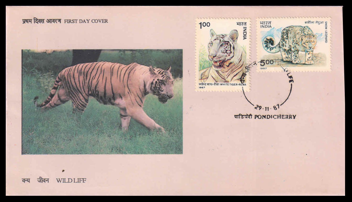 INDIA 1987 - Wildlife, White Tiger and Snow Leopard, Set of 2 Stamps on First Day Cover, Good Condition