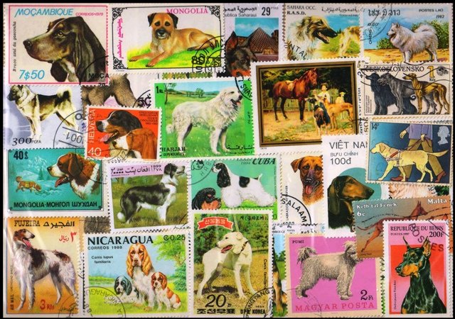 Dogs 100 Different Stamps