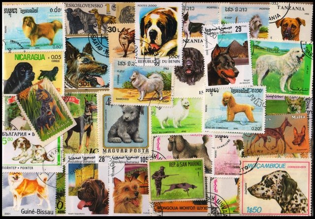 DOGS - 50 Different Stamps