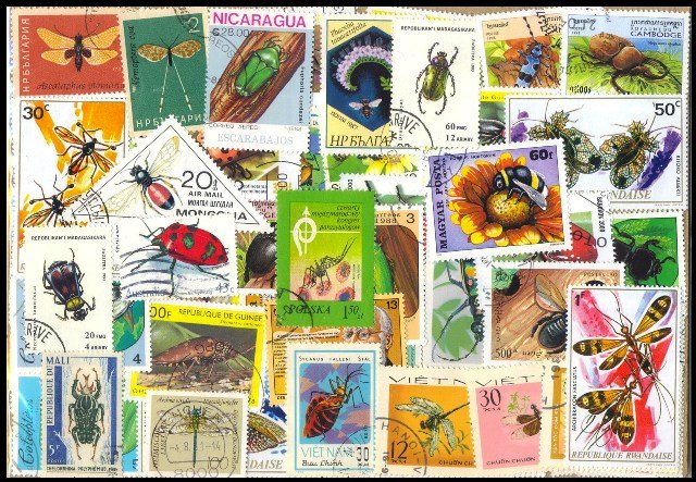 INSECTS - 50 Different Stamps