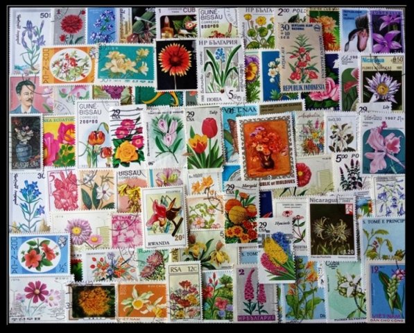 Flowers - 200 Different Stamps