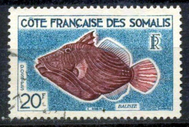 French Somali Coast 1958, Fish, Undulate Trigger fish-1 Value, Used, S.G. 442