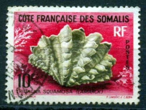 French Somali Coast 1962-Fluted giant clam, Shells of the red sea, S.G. 462, 1 value, Used, Cat £ 1-60