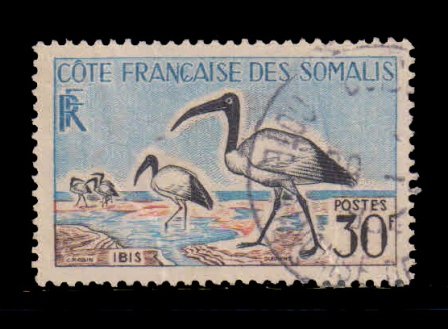 French Somali Coast 1958 - Sacred ibis, Bird, Fauna, 1 Value, Used, S.G. 444, Cat. £ 7.5