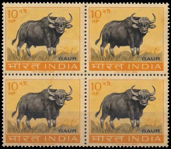 7-10-1963, Gaur, wild Ox, 10 N.P.