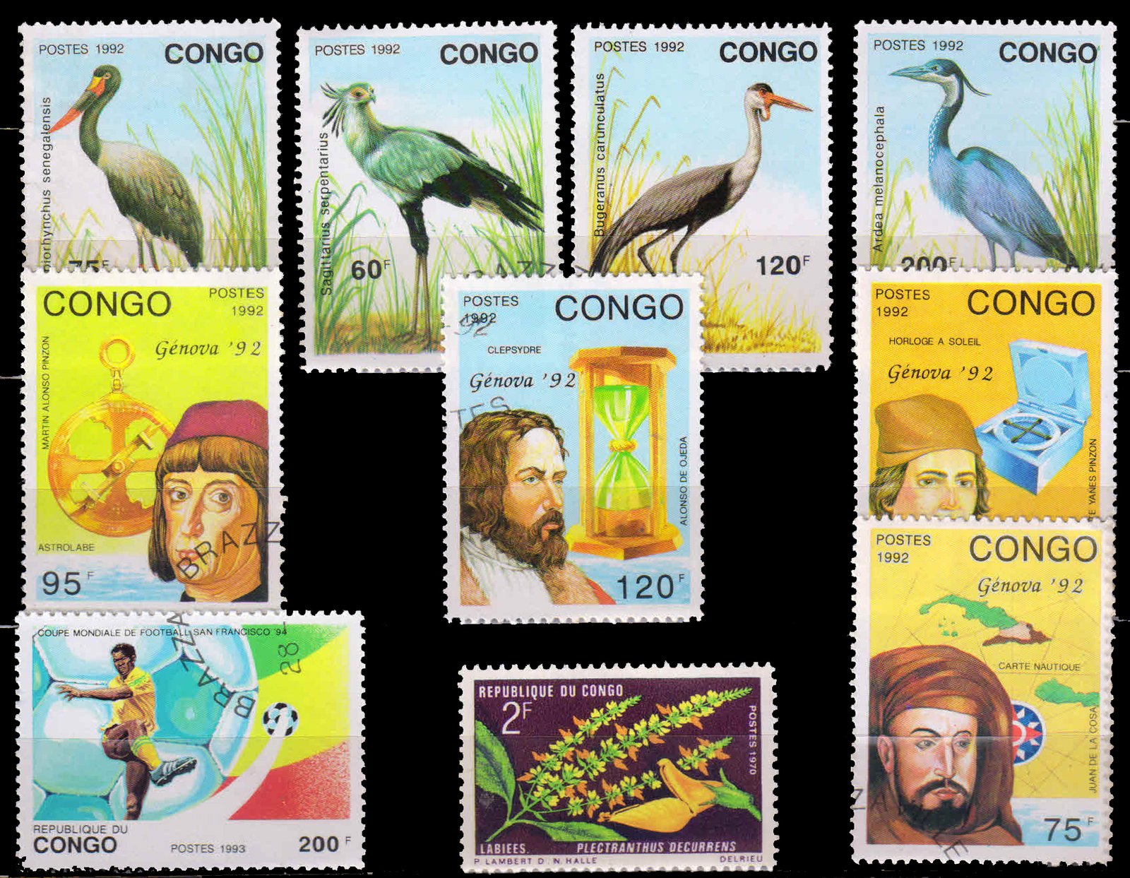 CONGO 10 Different Large