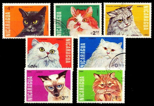 NICARAGUA 1984 - Cats, Fauna, Used, Set of 7, S.G. 2567-2573, Cat � 2.50
