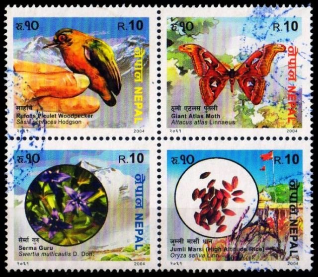NEPAL 2004-used set of 4-Biodiversity-Flora & Fauna-Bird-Fruit-Agriculture-Cat � 5-00