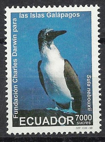 Ecuador 1999, Blue-footed booby- Bird-Charles Darwin, S.G. 2352, 1 Value, Cat � 8.25