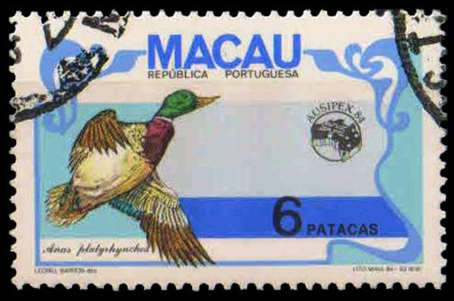 MACAO 1984-Bird Mallard-Stamp Exhibition-1 Value-Used-Cat £ 5-S.G. 597