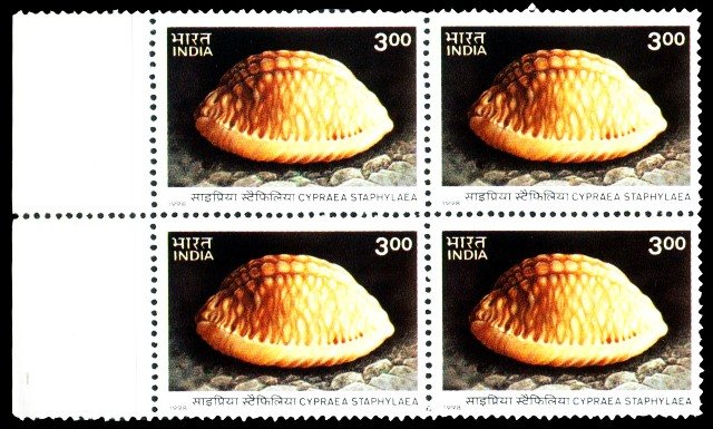 30-12-98, Cowrie Sea Shells, 3Rs, Blk of 4