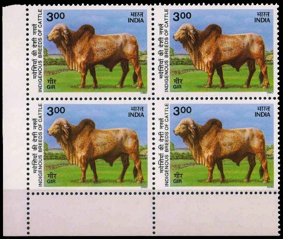 25-4-2000, Gir Cattle, Rs. 3