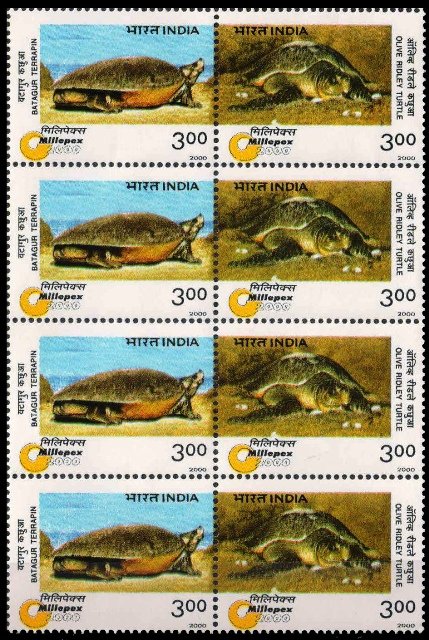 29-1-2000, Endangered Specis, Turtles 3Rs. Verticle block
