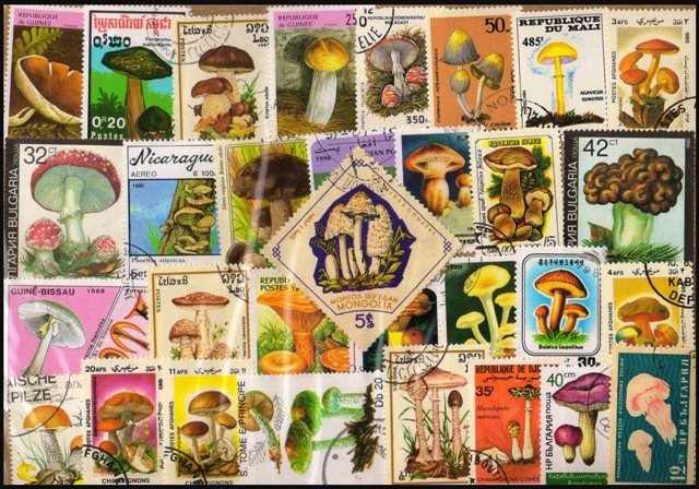 Mushrooms 150 Different Stamps