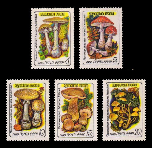 RUSSIA 1986 - Fungi, Mushroom, Flora, Complete Set of 5, MNH, S.G. 5651-5655