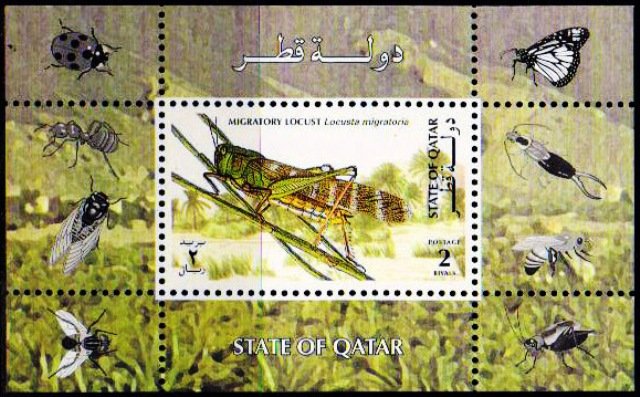 QATAR 1998-Insects-Migratory lo cust- Miniature Sheet-S.G. MS 1041-Scare