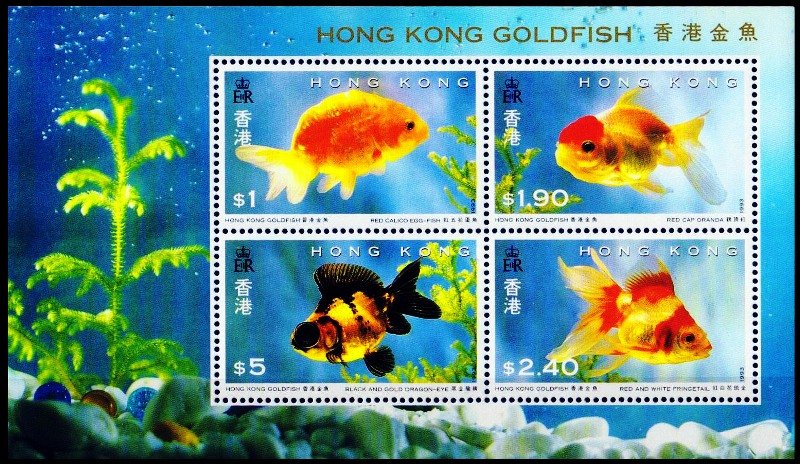 HONGKONG 1993-Goldfish-Marine Life-Miniature Sheet of 4 stamps-MNH-S.G. MS 756