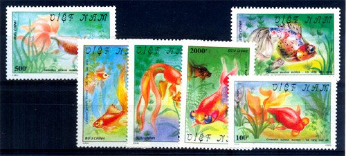 Vietnam 1990, Gold Fish Marine Life, S.G.No 1411 - 16, Set of 6, MNH 