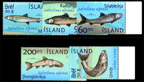 Iceland 2002, Fishes , Marine Life , S.G.No. 1026-1030 , Set Of 5, MNH , Cat. ? 20-