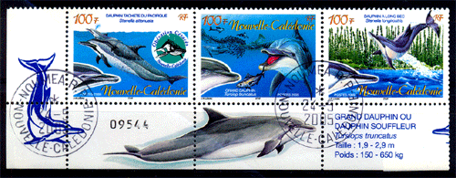New Caledonia 2005 , Marine Mammals ,Fishes , Dolphins, S.G.No. 1345-1347 , Set Of 3 , MNH , With Fish Day Cancellation , Cat. ? 9.00