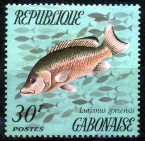 Gabon 1975, Fish, S.G. 553, 1Value, MNH