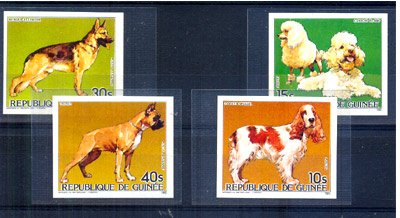 GUINEA 1985, Spaniel, Boxer Berger Dogs, S.G.No 1186,87,90,92, Set of 4 Stamps Imperforate, Mint Never Hinged 