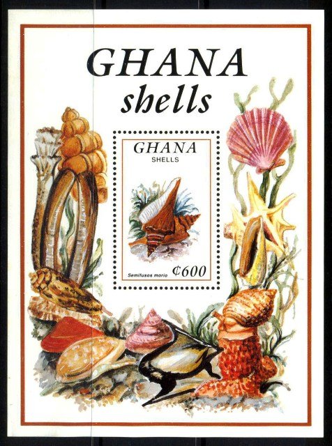 Ghana 1992, Shells, S.G. MS1759