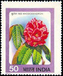 1-7-1977, Indian Flowers Tree-Rhododendron, 50 P. S.G. 851, Phila 725