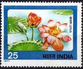 1-7-1977, Indian Flowers Lotus, 25 P. S.G. 850, Phila 724