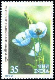 29-5-1982, Himalayan Flower-Blue Poppy 35 P S.G. 1043, Phila 890