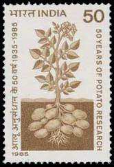 1-4-1985, Potato Research in India, 50 P. S.G. 1156, Phila 1003