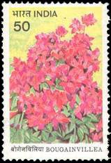 5-6-1985, Bougainvillea, 50 P. (Flower) S.G. 1160, Phila 1007