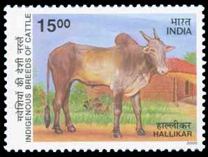 25-4-2000, Hallikar, Karnataka, Cattle, Rs. 15-00 S.G. 1922