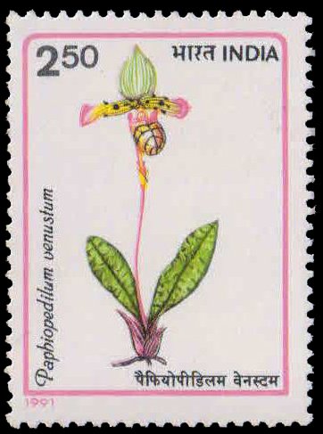12-10-1991, Orchid of India, 2.50 Rs. S.G. 1471, Phila 1303