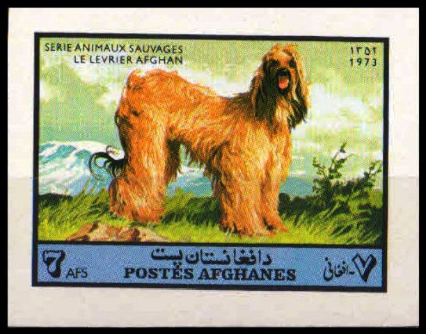 AFGHANISTAN 1974-1 Value Imperf -Dog-Afghan hound-Wild Animal-S,G. 762