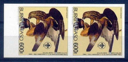 Burkina Fasso 1985, Bird, John J Audubon S.G. 794, Imperf Pair, MNH Scare