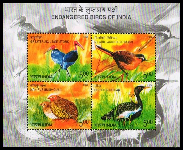 INDIA 2006 - Endangered Birds of India Miniature Sheet