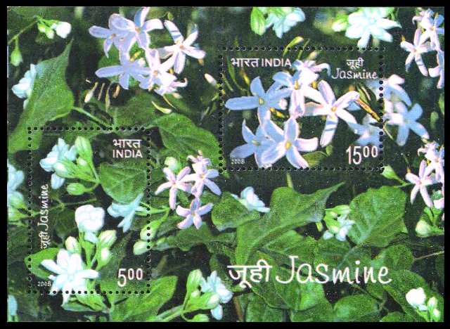 2008, Jasmine Flower