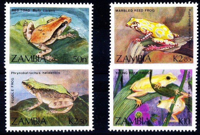 Zambia 1989, Frog & Toads, Animals, S.G. 567-570, Set of 4, MNH