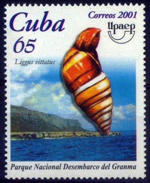 Cuba 2001, Shell, World Heritage Site, UNESCO, S.G. 4516, 1 Value, MNH