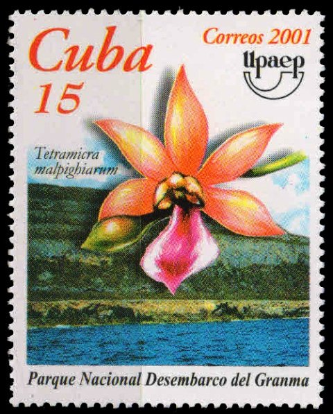 Cuba 2001, Orchid, UNESCO world Heritage Sites, S.G. 4515, 1 value, MNH