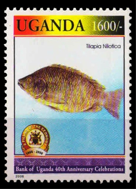 UGANDA 2006-Fish, Bank of Uganda, 1 Value, MNH-S.G. 2532