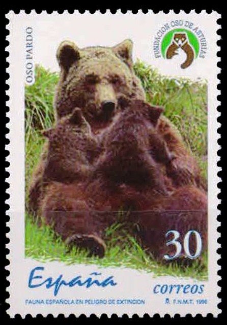 SPAIN 1996-1 Value-MNH-Brown Bear with cubs-Endangered Species-1 Value-MNH-S.G. 3370