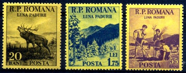 Romania 1954, Forestry Month, Flora & Fauna, Mountain, S.G.No 2322 - 24, Set of 3, MNH