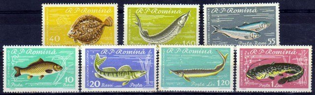 ROMANIA 1960-Fishes, Marine Life, S.G. 2796-2802-Set of 7-MNH-Cat � 9.25