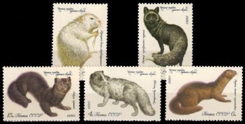 RUSSIA 1980-Fur bearing Animals-Fox, Mink-Set of 5-MNH-S.G. 5008-5012
