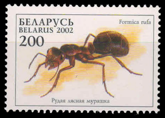 BELARUS 2002-Ants, 1 Value, MNH, S.G. 503