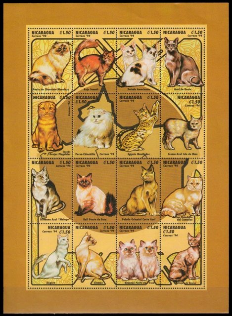 Nicaragua 1994-Cats, Sheet of 16 Stamps, MNH, S.G. 3399
