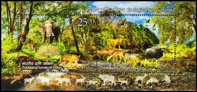 2015-Centenary of Zoological Survey of India