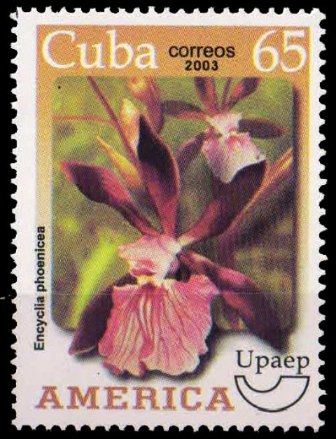 CUBA 2003-America, Flower, Orchid, 1 Value, MNH, S.G. 4697-Cat £ 2.10-